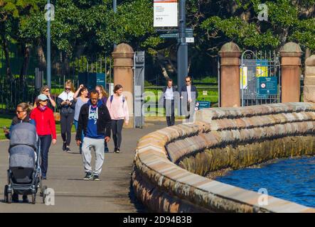 La promenade au bord de la mer à Mrs Macquarie's point à Farm Cove et les jardins botaniques royaux dans le port de Sydney, en Australie. Banque D'Images