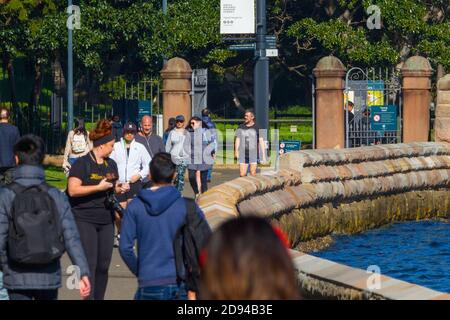 La promenade au bord de la mer à Mrs Macquarie's point à Farm Cove et les jardins botaniques royaux dans le port de Sydney, en Australie. Banque D'Images