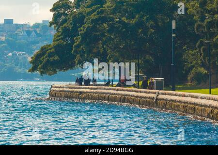 La promenade au bord de la mer à Mrs Macquarie's point à Farm Cove et les jardins botaniques royaux dans le port de Sydney, en Australie. Banque D'Images