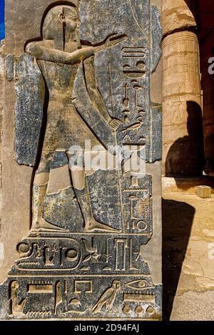 Cartouche de Ramses II sculptée sur un pilier à la Temple Ramesseum Banque D'Images