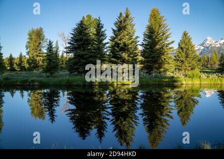 Schwabacher Landing en début de matinée dans le parc national de Grand Teton, avec des reflets de montagne sur la crique d'eau Banque D'Images