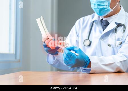 Gros plan main porter des gants médicaux médecin en gants médicaux tient le bonedu pied artificiel en clinique, concept de traitement médical orthopédique Banque D'Images