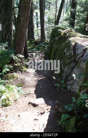 Un sentier ensoleillé à travers les bois bordés par une pierre mur à droite et arbres à gauche Banque D'Images