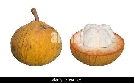 Fruits frais Santol isolés sur fond blanc, chemin d'écrêtage Banque D'Images