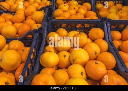 Oranges en boîtes sur le marché en plein air ou au dépôt de gros de fruits exotiques. Produits locaux sur le marché des agriculteurs. Photo de haute qualité Banque D'Images