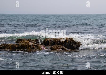 Une vague se brisant sur un rocher couvert d'algues dans l'océan Atlantique par une journée ensoleillée. Banque D'Images