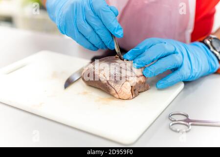 Les étudiants en médecine dans la dissection du cœur de mouton des tp Banque D'Images