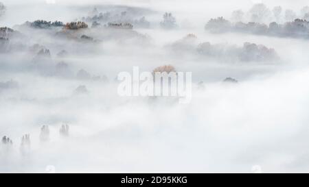 Brouillard dans la forêt de montagne le matin Banque D'Images