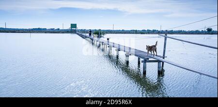 Les gens de la région avec des animaux de compagnie marchant sur la longue passerelle en bois au-dessus du lac au crépuscule, scène rurale près du golfe de Thaïlande. Mise au point sélective. Banque D'Images