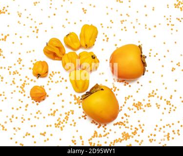 Renforcer le système immunitaire grâce à des sources naturelles de vitamines et d'oligo-éléments, la vitamine C. photo de légumes et de fruits dans les lentilles. Le concept de Banque D'Images