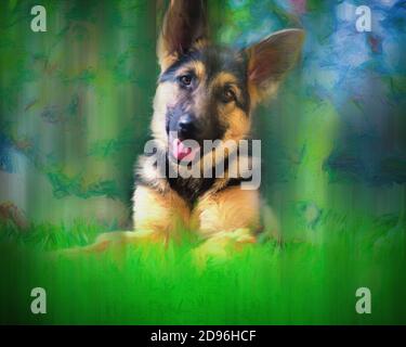 ART CANIN: K9 mignon (Berger allemand Puppy) Banque D'Images
