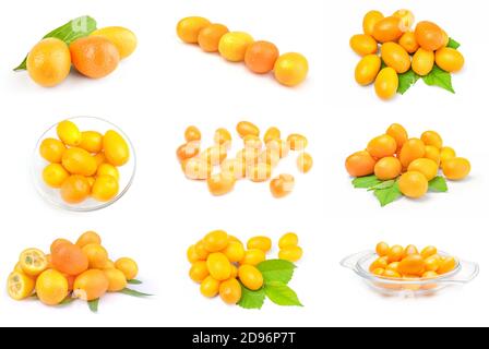 Ensemble de cumquats isolés sur fond blanc Banque D'Images