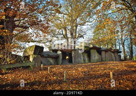 Esse (Bretagne, Nord-Ouest de la France) : dolmen, tombe de la galerie de la Roche-aux-Fees (le Rocher des Fées), monument mégalithique enregistré comme National Banque D'Images