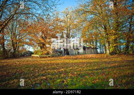 Esse (Bretagne, Nord-Ouest de la France) : dolmen, tombe de la galerie de la Roche-aux-Fees (le Rocher des Fées), monument mégalithique enregistré comme National Banque D'Images
