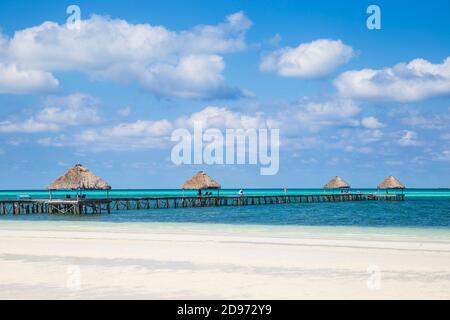 Cuba, province de Ciego de Avila, Jardines del Rey, Cayo Guillermo, Playa El Paso, jetée en bois Banque D'Images