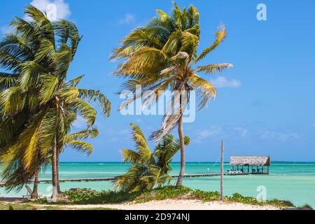 Cuba, province de Ciego de Avila, Jardines del Rey, Cayo Guillermo, Playa El Paso, jetée en bois Banque D'Images