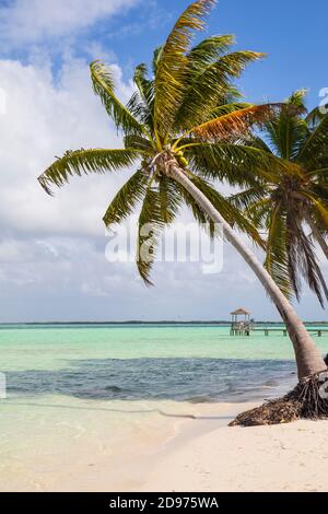 Cuba, province de Ciego de Avila, Jardines del Rey, Cayo Guillermo, Playa El Paso Banque D'Images