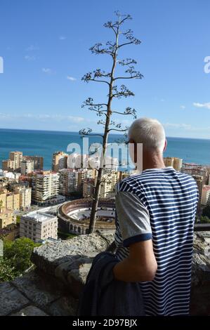 La Malagueta Bullring et des appartements avec vue sur la mer à Malaga, Espagne Banque D'Images