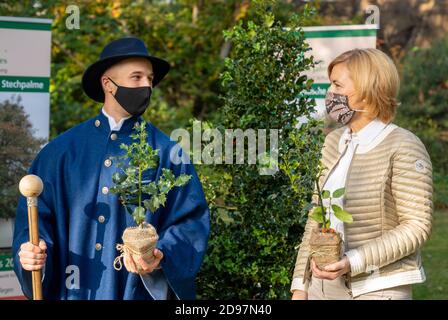 Berlin, Allemagne. 03ème novembre 2020. Nikolaus Fröhlich, roi allemand des arbres 2021, et Julia Klöckner (CDU), ministre fédérale de l'agriculture, tiennent entre leurs mains de petits arbres de l'houx européen après l'annonce de l'arbre de l'année 2021 par la Fondation Silvius Wodarz. Les baies rouges entourées de feuilles vertes et épineuses sont caractéristiques du houx européen. L'espèce d'arbre à feuilles caduques à feuilles persistantes, Ilex aquafolium, est également connue sous le nom de chardon sauvage ou d'épine du Christ. Credit: Christophe bateau/dpa/Alay Live News Banque D'Images