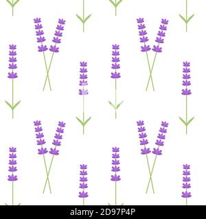 Motif fleurs lavande sans coutures. Illustration vectorielle. Illustration de Vecteur