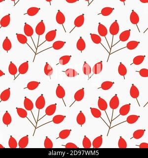 Rose hanche rouge fruits automne sans couture motif. Illustration vectorielle. Illustration de Vecteur