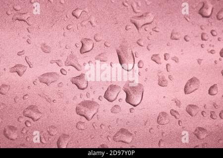 Gouttes de pluie sur la surface rose argentée de la voiture. Mise au point sélective. Banque D'Images