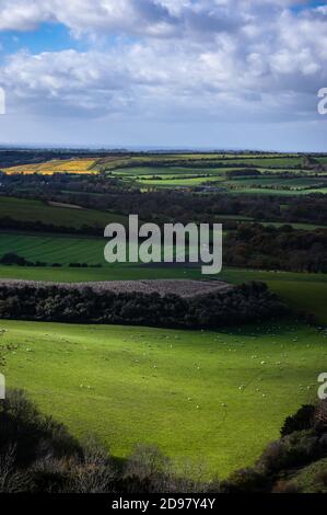 La lumière du soleil d'automne est spectaculaire dans la campagne vallonnée du Hampshire, typique du parc national de South Downs en Angleterre. Vue depuis Old Winchester Banque D'Images