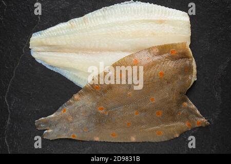 Deux filets bruts d'une plie, Pleuronectes platessa, qui a été attrapée dans la Manche sur un fond d'ardoise sombre. Dorset Angleterre Royaume-Uni G Banque D'Images