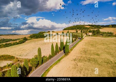 Champs et route avec des oiseaux affluent dans le ciel d'été en Toscane Italie. Vue aérienne. Banque D'Images