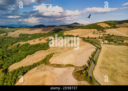 Paysage idyllique de Pienza Toscane Italie avec champs d'or et vol d'aigle. Vue aérienne. Banque D'Images