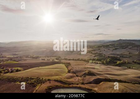 Paysage rural pittoresque italien près de Pienza Toscane avec oiseau dans le ciel. Vue panoramique. Tir de drone. Banque D'Images