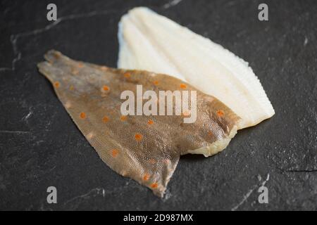 Deux filets bruts d'une plie, Pleuronectes platessa, qui a été attrapée dans la Manche sur un fond d'ardoise sombre. Dorset Angleterre Royaume-Uni G Banque D'Images