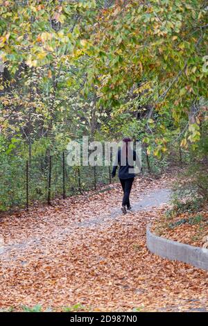 Une femme sur une promenade d'exercice parmi les couleurs d'automne. À Kissena Park, Flushing, New York. Banque D'Images