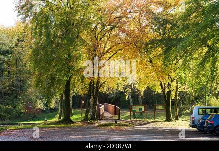 Killykeen Park, Cavan, Irlande - 26 octobre 2020. Saison d'automne à Killykeen Forest Park, Co. Cavan, Irlande Banque D'Images