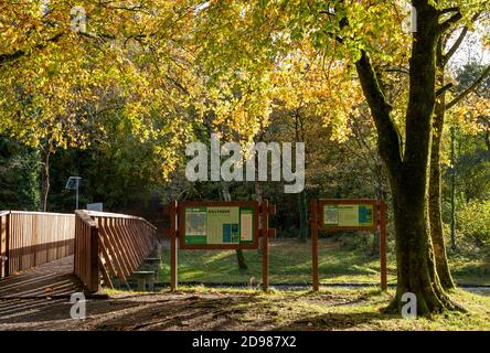 Killykeen Park, Cavan, Irlande - 26 octobre 2020. Saison d'automne à Killykeen Forest Park, Co. Cavan, Irlande Banque D'Images