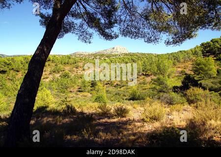 La montagne Sainte-victoire des sentiers de randonnée du barrage de Zola près d'Aix-en-Provence, France Banque D'Images