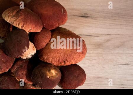 Une pile de champignons de la forêt noble boletus et de calotte rouge boletus couché sur une planche en bois Banque D'Images