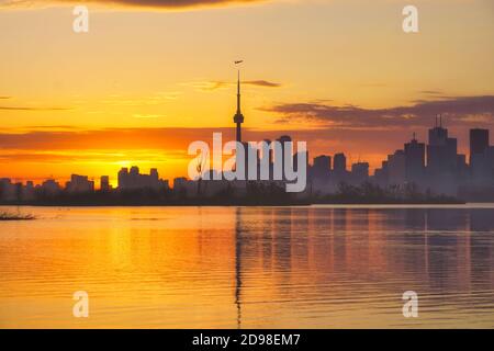 Silhouettes des gratte-ciel du front de mer de Toronto avec un avion survolant Tour CN au-dessus des gratte-ciels du centre-ville et des colonies d'oiseaux cormorants premier plan dans Banque D'Images