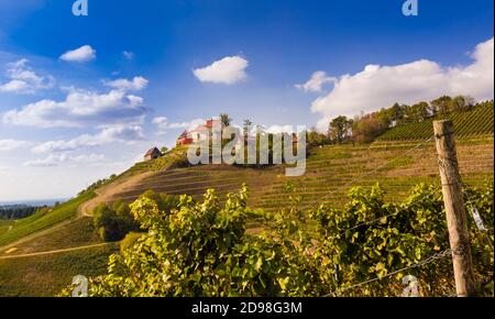 Vue sur le château de Staufenberg au milieu des vignobles près du village de Durbach Ortenau, Bade-Wurtemberg, Allemagne Banque D'Images