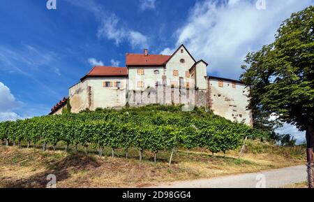 Vue sur le château de Staufenberg avec des vignes près du village de Durbach Ortenau, Bade-Wurtemberg, Allemagne Banque D'Images