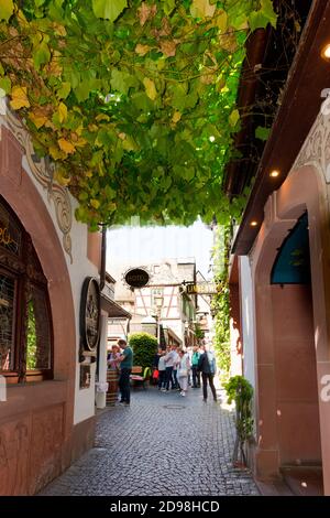 La Drosselgasse dans la vieille ville de Ruedesheim. Hesse, Allemagne, Europe Banque D'Images