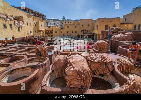 Chouara Tannery est l'une des trois tanneries de la ville de Fès, au Maroc. C'est la plus grande tannerie de la ville et l'une des plus anciennes. Banque D'Images