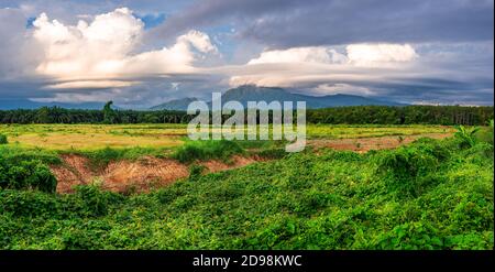 Paysage vue sur la montagne avec ciel bleu et nuage blanc et herbe verte dans la lumière du soir, Panorama Banque D'Images