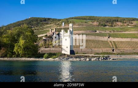 Tour de la souris aux couleurs historiques et ruines du château d'Ehrenfels. Rhénanie-Palatinat, Allemagne, Europe Banque D'Images