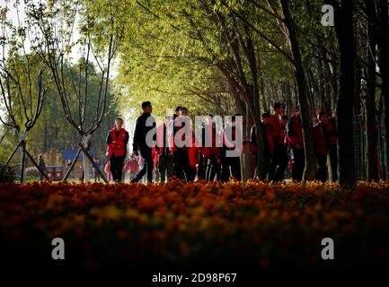 Tangshan, province chinoise de Hebei. 3 novembre 2020. Les visiteurs visitent un complexe touristique rural dans le district de Fengnan à Tangshan, dans la province de Hebei, au nord de la Chine, le 3 novembre 2020. Credit: Xing Guangli/Xinhua/Alay Live News Banque D'Images