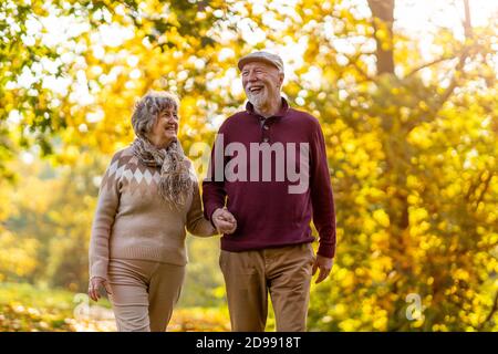Un couple de personnes âgées heureux qui passent du temps ensemble dans le magnifique parc de la ville en automne Banque D'Images