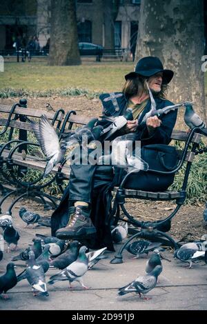 Larry Reddick, connu sous le nom de Larry The Birdman, nourrissant un troupeau de pigeons dans Washington Square Park, Greenwich Village, New York City, États-Unis Banque D'Images