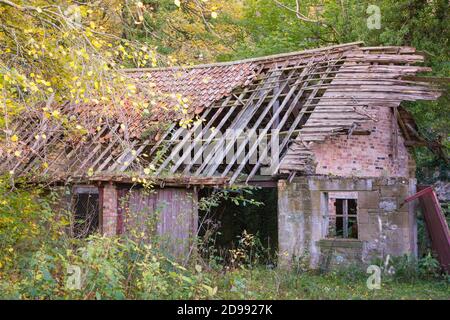Ancienne ferme abandonnée qui est tombée en panne avec un toit cassé entouré d'arbres dans une forêt en automne. Banque D'Images