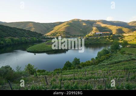 Douro vallée du vin de la région de la courbe rivière à Quinta do Tedo au coucher du soleil, au Portugal Banque D'Images
