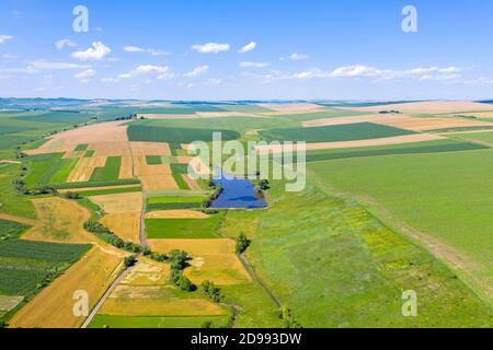 Champs d'agriculture d'été aériens et lac près de la ferme Banque D'Images